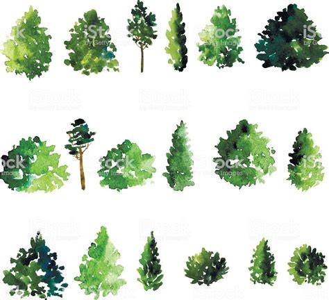 Use photoshop's tree filter to create a wide variety of realistic looking trees. set of trees drawing by watercolor, conifer and decidious ...