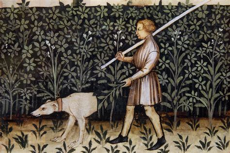The World Of Medieval Dogdom History Today