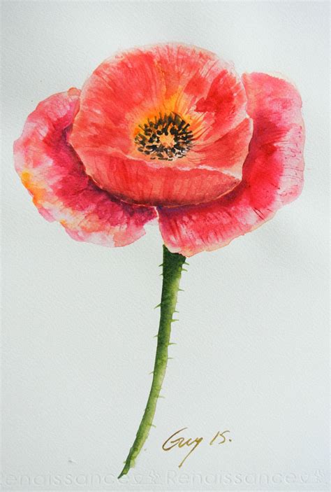 Beautiful Poppy Flower Modern Art Original Watercolor Painting Home
