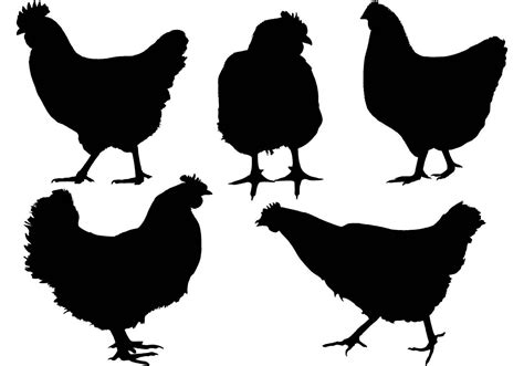 Free Chicken Silhouette Vector Choose From Thousands Of Free Vectors