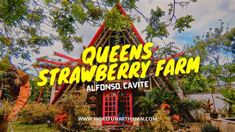 A Visit To Queens Strawberry Farm Restaurant And Events Place In