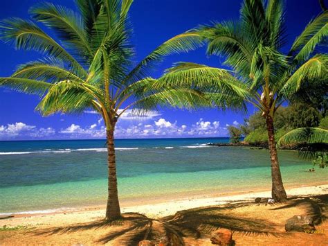 Tropical Beach Wallpapers By Cool Images786
