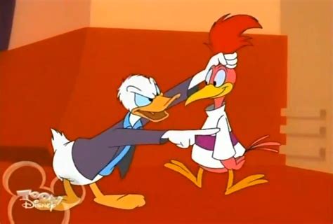 Donald And The Aracuan Bird Disney Wiki Fandom