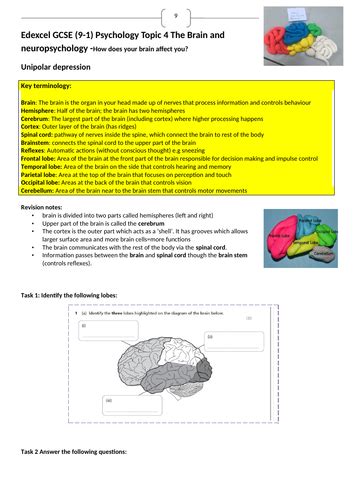 Edexcel 9 1 Gcse Psychology Brain And Neuropsychology Revision Booklet