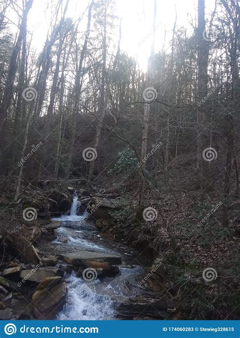 Happy Suns Make For Happy Trails Stock Image - Image of comes, calm 