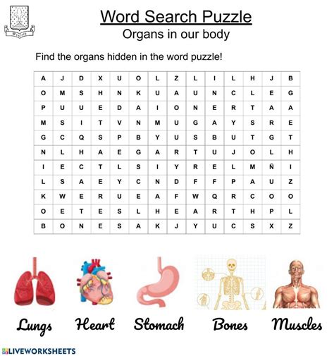 2nd Grade Worksheets Word Puzzles Body Organs School Subjects