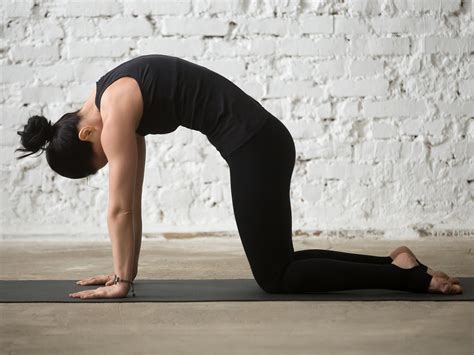 Cat cow pose is considered a base pose as cat cow pose variations can be derived from this pose.cat cow pose helps boost energy in the body and hence can be included in flow yoga. How Being Yoga Savvy Energizes Cancer Patients and Cancer ...
