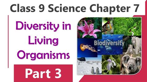 Diversity In Living Organisms Class 9 Science Chapter 7 Part 3 Youtube