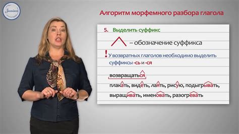 Русский 4 Разбор глагола по составу - YouTube