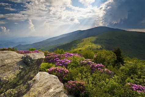 4 Of The Best Hiking Trails In Tennessee For Springs Colors