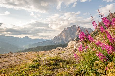 Wonders With Your Hiking And Luxury Relax Holiday In Corvara Dolomites
