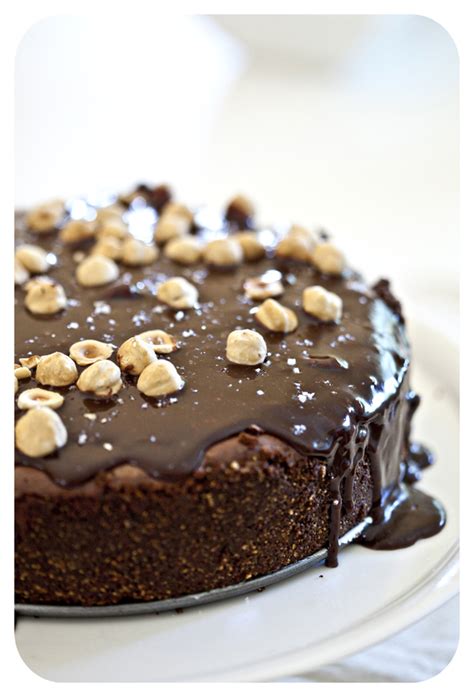 Greedy Gourmand Dark Chocolate Cheesecake With Hazelnuts
