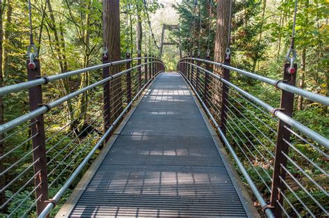 Suspension Bridge At The Bellevue Botanical Garden In