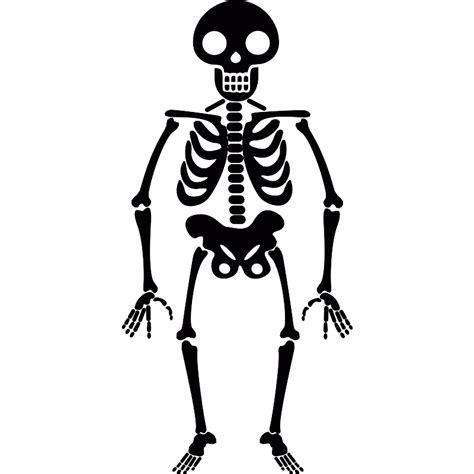 19+ Skeleton Svg File Free Background Free SVG files | Silhouette and