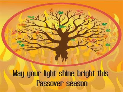 Time to read haggadah, enjoy a warm seder and have a joyous time with your friends, family and loved ones. Wishes For A Special Passover. Free Happy Passover eCards | 123 Greetings