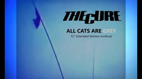 The Cure All Cats Are Grey 12 Extended Version 2023 Unofficial