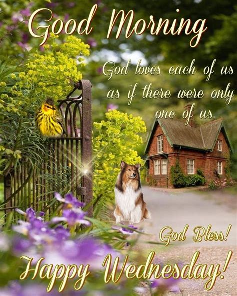 Good Morning Everyone Happy Wednesday I Pray That You Have A Safe