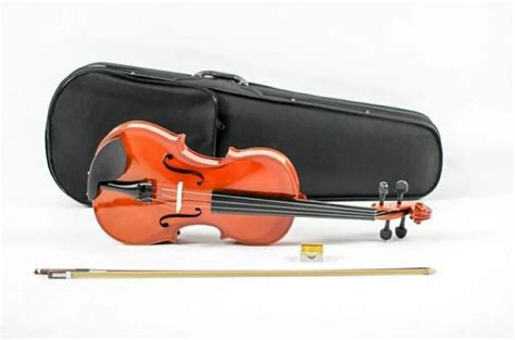 Viola Classica De Arco Custom Strauss Em Arcos Clasf Som E Imagem