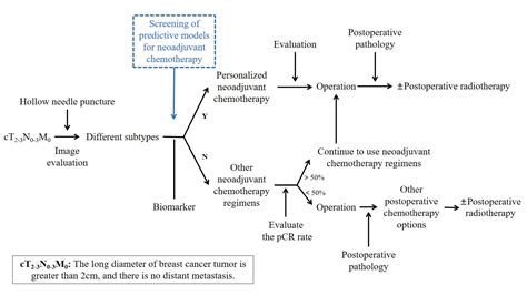 Neoadjuvant Chemotherapy Of Breast Cancer Encyclopedia Mdpi