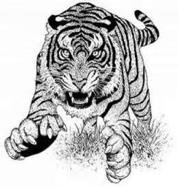 A educational game for your toddler or preschooler. 3D animal Coloring Pages for Adults - Bing Images ...