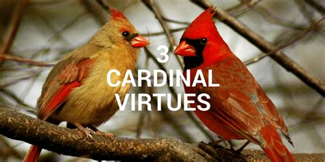 The novel mostly takes place in france. 3 Cardinal Virtues of a Servant-Leader