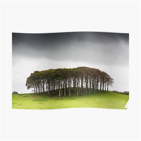 Nearly Home Trees Posters Redbubble
