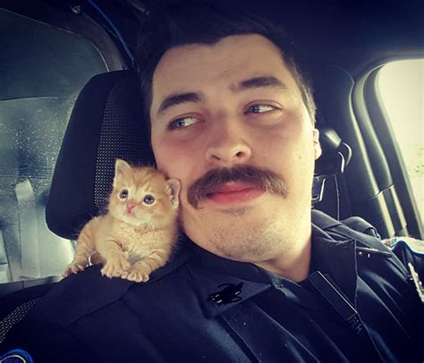 Cop Rescues Kitten Left In The Rain And Now Theyre Fighting Crimes