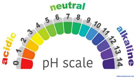 Vaginal Ph Balance How Important For A Woman Newsdigin