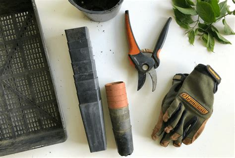 The Best Garden Tool Essentials You Need To Know Of Jardin Hq