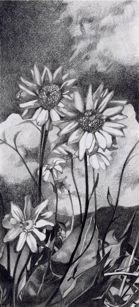 We make art together as a family but we also love sharing it with you. Graphite daisy drawing. | Daisy drawing, Drawings, Art