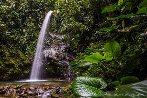 Waterfall San Vincente Mashpi Cloud Forest Choco Rainforest Ecuador