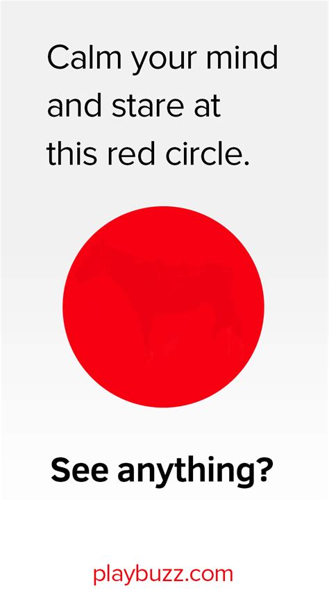 This One Is Stumping The Internet Whats Inside The Red Circle