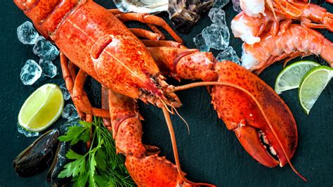 16 Types Of Lobster Explained