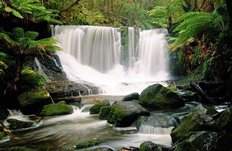 Horseshoe Falls Mount Field National Park Tasmania Australia