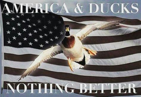 A Duck Flying Over An American Flag With The Words America And Ducks