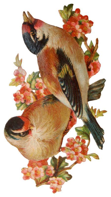 Victorian Scrapbook Birds Print Vintage Fangirl Printables