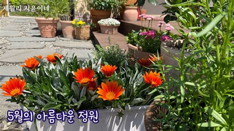 5월의 정원5월 정원에 피는 꽃들 Youtube