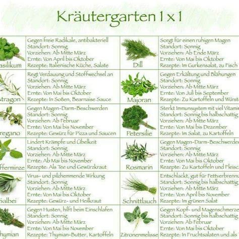 Kräutertabelle! | Kräutergarten palette, Garten und ... Dann bist du bald wieder g.