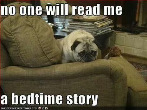 So Bugsy Bedtime Stories Bedtime Humor