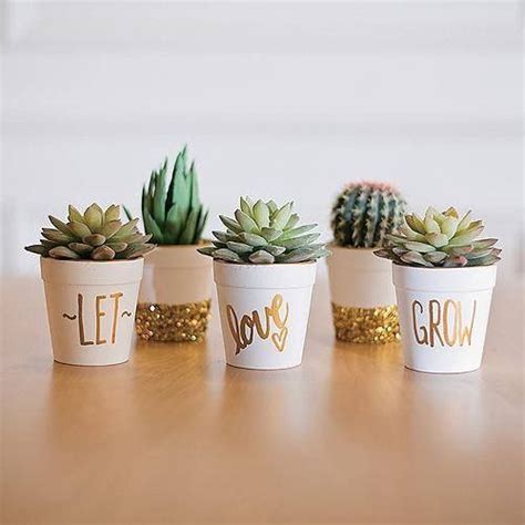 Video sobre cómo hacer yogurt casero sin máquina ¡es muy fácil! Regalar suculentas y cactus tiene un gran significado - Bossa