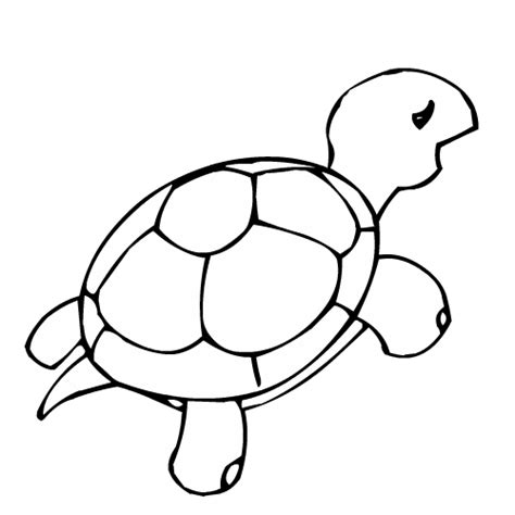 Png 형식 이미지 외에도 꽃 그림, 화초가 도안, 배경 소재 화초, 벡터, psd 파일 및 hd 배경 이미지도 찾을 수. 장난꿈공장-그림도안, 색칠공부 :: 거북이 색칠공부 거북이 ...