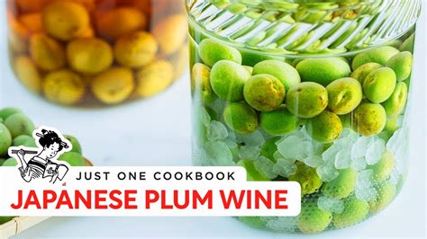 how to make homemade japanese plum wine umeshu 梅酒の作り方 レシピ wine buyer