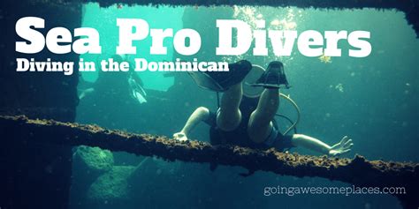 Seapro Divers Review Scuba Diving In The Dominican Republic Going