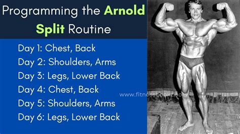 Arnold Schwarzenegger Workout Routine For Beginners