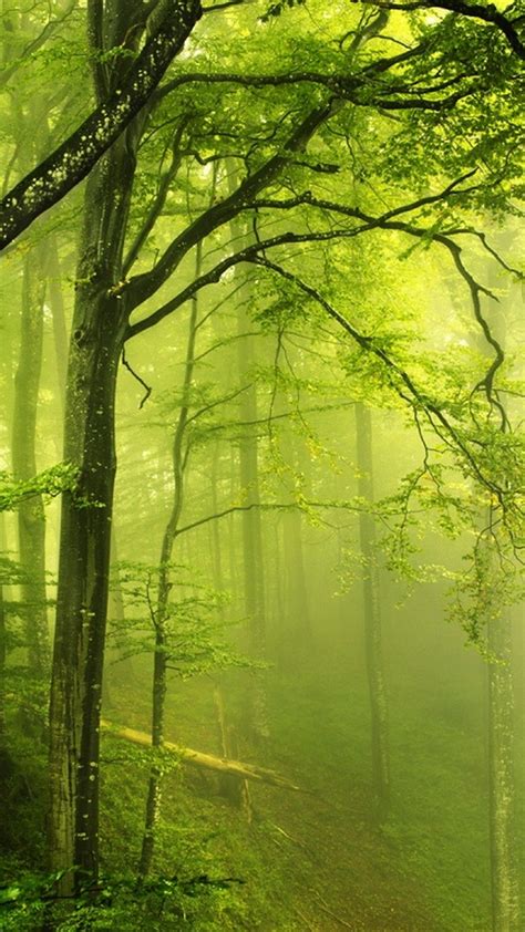 Download 63 Wallpaper Iphone Nature Green Gambar Terbaik Postsid