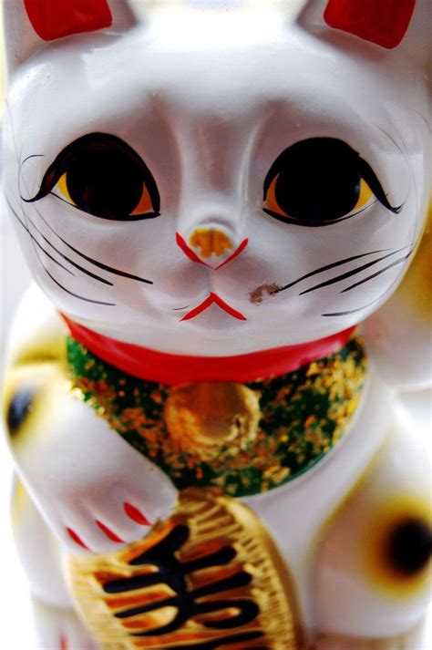 The Incredible History Of Japanese Lucky Cats