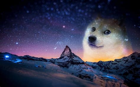 This rule has been expanded to cover 'forced' doge posts that feature the original 'doge' image. Doge Space Wallpaper (69+ images)