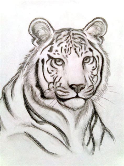 Dibujos de Tigres Hechos a Lápiz Entra para Admirarlos