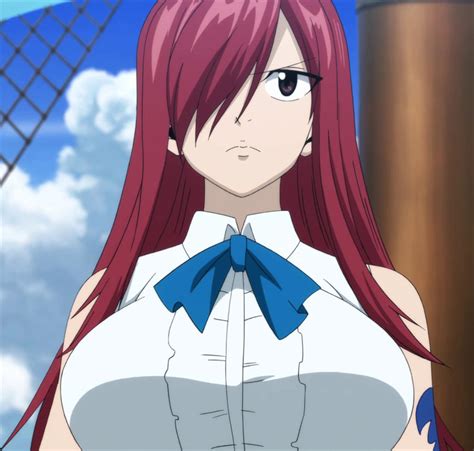 Fairy Tail Stitch Erza Scarlet 13 By Octopus Slime On Deviantart