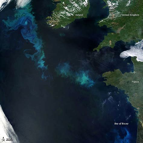 Phytoplankton Bloom In The North Atlantic Seen From Space